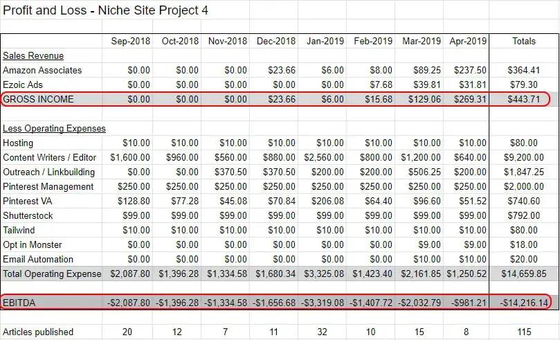 Profit and Loss of Niche website