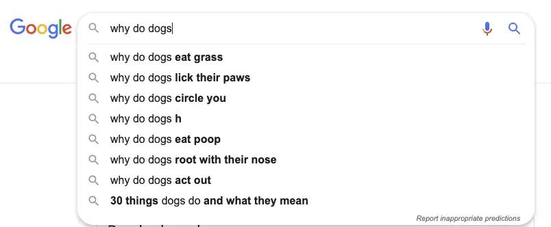 Why do dogs: Google dropdown prediction of that query