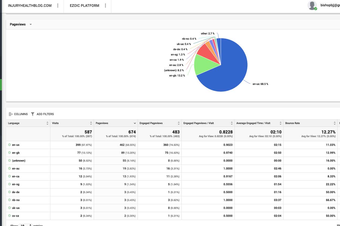 engagement demographics
