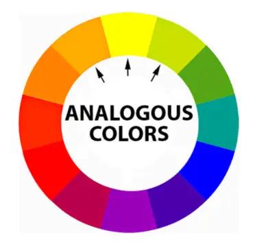 Analogous colors are colors next to each other