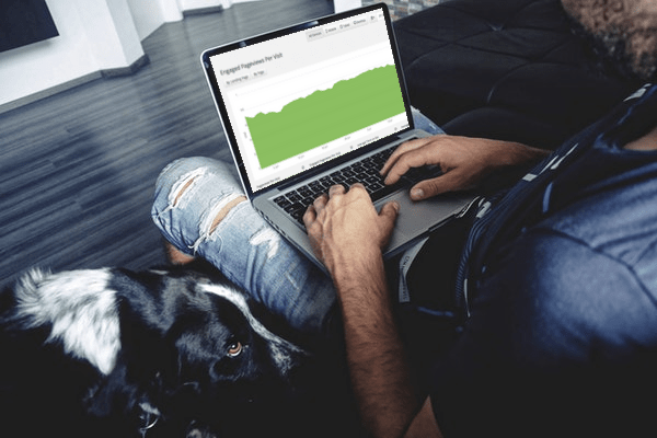 engaged pagview visitor engagement and user intent